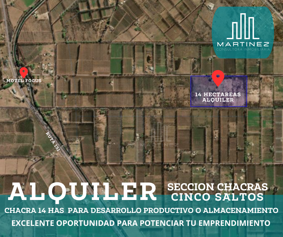 Foto de ALQUILER DE CHACRA 14 HECTAREAS CINCO SALTOS en Seccion Chacras